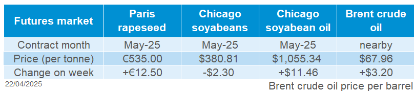 Oilseeds futures table 22 04 2025